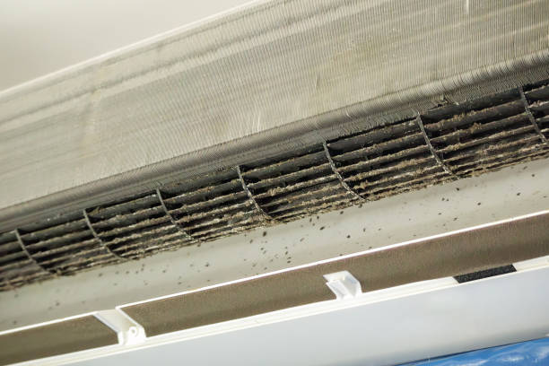 Best Air Duct Cleaning Near Me  in Fulton, IL