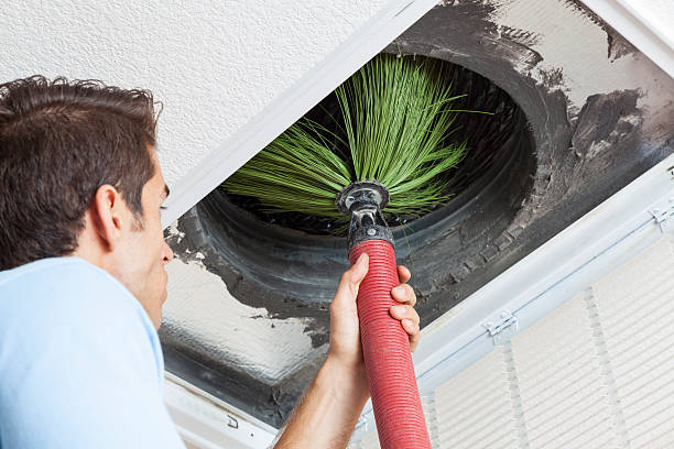 Best Dryer Vent Cleaning Services  in Fulton, IL